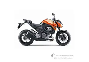 Decals for Kawasaki Z800 2013 - Orange E Version • Kawasaki OEM Decals