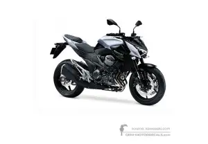 Decals for Kawasaki Z800 2014 - White E Version • Kawasaki OEM Decals