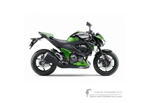 Decals for Kawasaki Z800 2014 - Green • Kawasaki OEM Decals