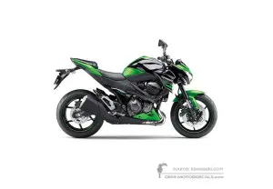Decals for Kawasaki Z800 2015 - Green • Kawasaki OEM Decals
