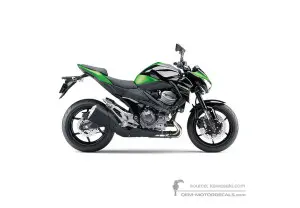 Decals for Kawasaki Z800 2015 - Green Black E Version • Kawasaki OEM Decals