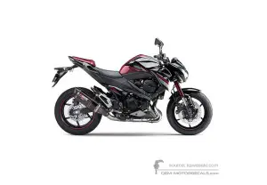Adesivi per Kawasaki Z800 2016 - Rosso • Kawasaki Adesivi OEM