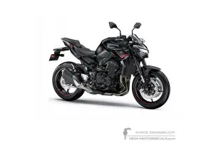 Decals for Kawasaki Z900 | ZR900 2020 • Kawasaki OEM Decals