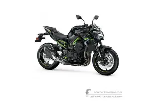 Decals for Kawasaki Z900 | ZR900 2021 • Kawasaki OEM Decals