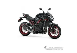 Decals for Kawasaki Z900 | ZR900 2021 • Kawasaki OEM Decals