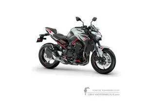 Decals for Kawasaki Z900 | ZR900 2022 • Kawasaki OEM Decals