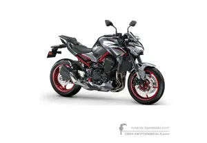 Decals for Kawasaki Z900 | ZR900 2023 • Kawasaki OEM Decals