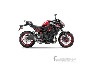 Decals for Kawasaki Z900 | ZR900 2024 • Kawasaki OEM Decals