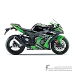 Kawasaki ZX10R 2017 - Green