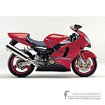 Kawasaki ZX12R 2001 - Rot