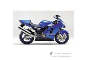 Decals for Kawasaki ZX12R 2001 - Blue • Kawasaki OEM Decals