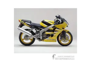Adesivi per Kawasaki ZX6R 2001 - Giallo • Kawasaki Adesivi OEM