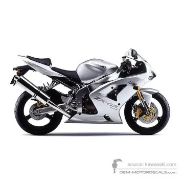 Kawasaki ZX6R 2004 - Srebrny - Galaxy Silver Type 2