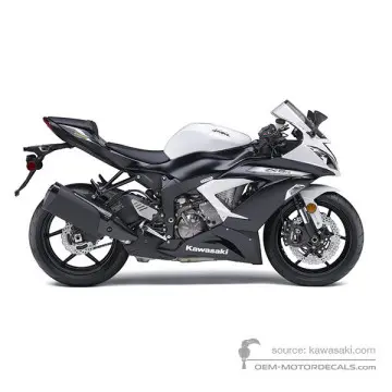 Kawasaki NINJA ZX-6R 2013