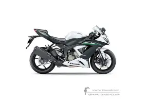Pegatinas para Kawasaki ZX6R 2015 - Blanco • Kawasaki Pegatinas OEM