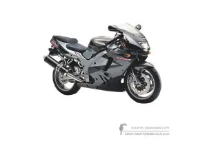 Aufkleber für Kawasaki ZX9R 1995 - Grau • Kawasaki OEM-Aufkleber