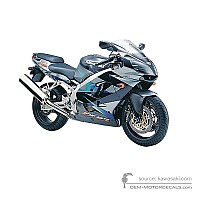 OEM Decals Kawasaki ZX9R 2001 - Gray • Original Stickers