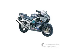 Pegatinas para Kawasaki ZX9R 2001 - Gris • Kawasaki Pegatinas OEM