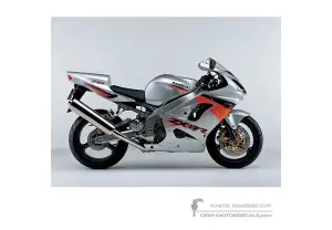 Adesivi per Kawasaki ZX9R 2003 - Argento • Kawasaki Adesivi OEM