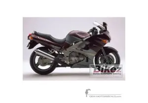 Decals for Kawasaki ZZR600 1998 - Gray • Kawasaki OEM Decals