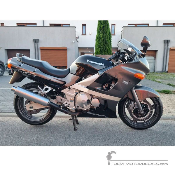 Naklejki do Kawasaki ZZR600 1999 - Szary • Kawasaki Naklejki OEM