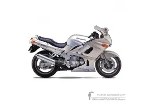 Aufkleber für Kawasaki ZZR600 2001 - Baiser • Kawasaki OEM-Aufkleber