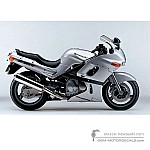 Kawasaki ZZR600 2003 - Silver