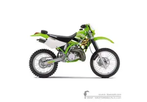 Decals for Kawasaki KDX200 2001 • Kawasaki OEM Decals