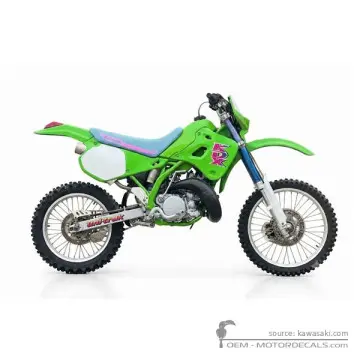Kawasaki KDX250 1991