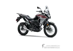 Decals for Kawasaki KLE300 VERSYSX 2021 - Gray • Kawasaki OEM Decals