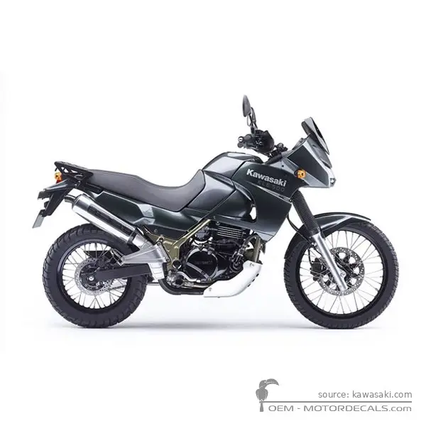 Kawasaki KLE 500 2007 - Pearl Meteor Gray