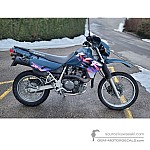 Kawasaki KLR650 1995 - Grün