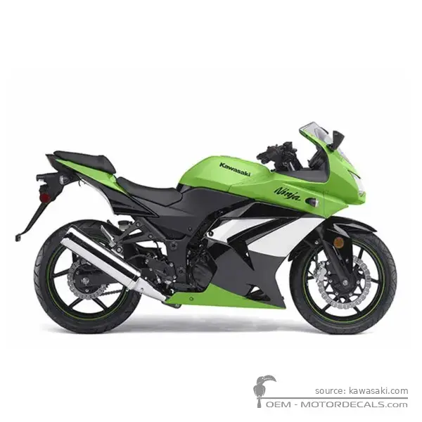 Kawasaki NINJA 250R | EX250 2009 - Metallic Diablo Black/Lime Green