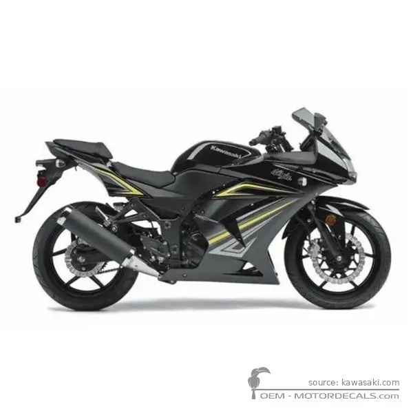 Kawasaki NINJA 250R | EX250 2012 - Metallic Spark Black