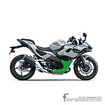 Kawasaki NINJA 7 HYBRID 2024