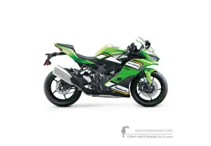 Decals for Kawasaki NINJA ZX-4RR 2025 - Green • Kawasaki OEM Decals