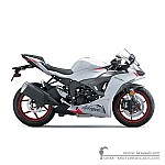 Kawasaki NINJA ZX-6R 2025