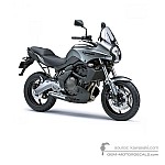 Kawasaki KLE650 VERSYS 2009 - Grau