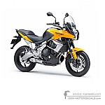 Kawasaki KLE650 VERSYS 2010 - Yellow