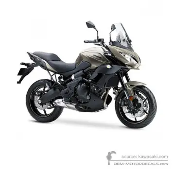 Kawasaki KLE650 VERSYS 2017 - Titanio - Metallic Flat Raw Titanium