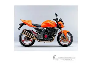 Decals for Kawasaki Z1000 2003 - Orange • Kawasaki OEM Decals
