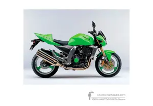 Decals for Kawasaki Z1000 2003 - Green • Kawasaki OEM Decals