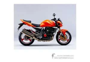 Decals for Kawasaki Z1000 2004 - Orange • Kawasaki OEM Decals