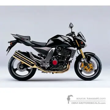 Kawasaki Z1000 | ZR1000 2004
