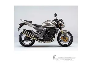 Decals for Kawasaki Z1000 2005 - Titanium • Kawasaki OEM Decals