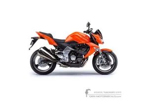 Decals for Kawasaki Z1000 2007 - Orange • Kawasaki OEM Decals