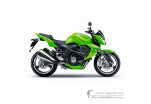 Decals for Kawasaki Z1000 2008 - Green • Kawasaki OEM Decals
