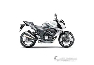 Decals for Kawasaki Z1000 2009 - White • Kawasaki OEM Decals