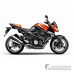 Kawasaki Z1000 2009 - Orange