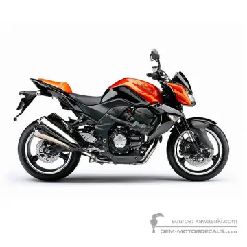 Kawasaki Z1000 2009 - Orange - Metallic Diablo Black / Candy Burnt Orange